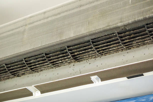 Best Affordable HVAC Duct Cleaning  in Medford, WI